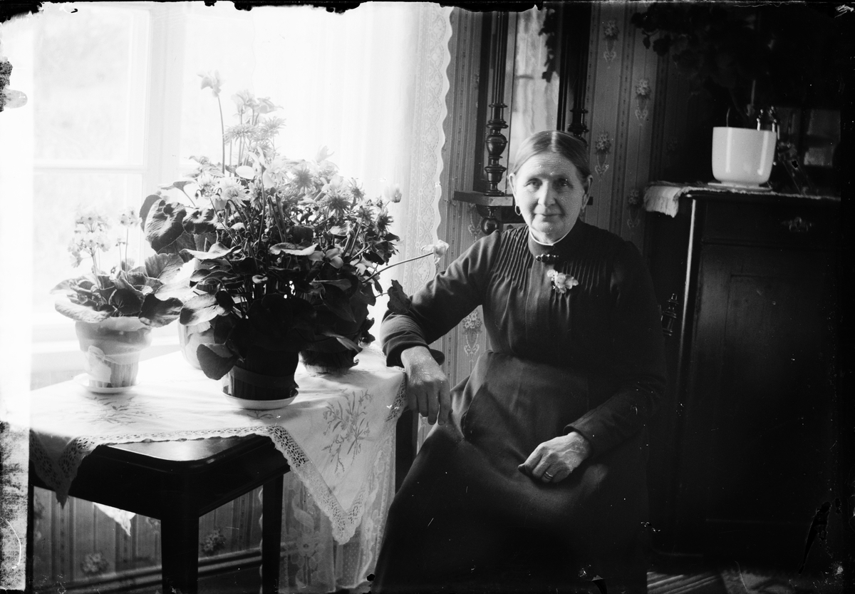 Kvinna sittande vid bord med krukväxter, Östhammar, Uppland