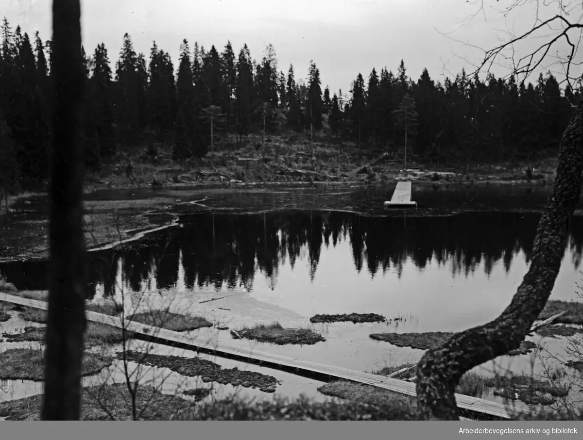 Nordmarka: Trollvann i Lillomarka . Oktober 1952