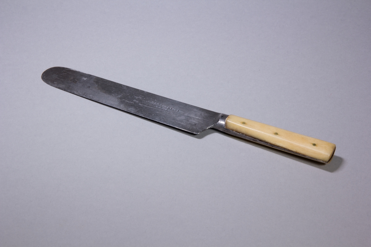 Bordskniv av stål med handtag av ben, fäst med mässingsnitar.