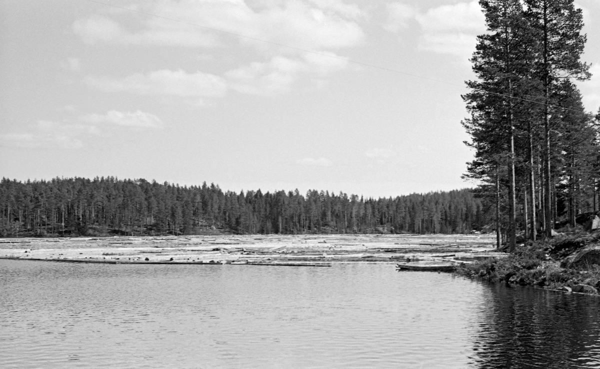 Tømmerfløting på Gåsvatnet i Nord-Odal i Hedmark våren 1954.  Fotografiet er tatt mot vannspeilet, der det lå tømmerstokker tett i tett. Gåsvatnet var omgitt av skog, hovedsakelig furu.  Tannåa er et av tilløpene til Juråa som har sitt utløp i Storsjøen ved Mo.  Tannåa kommer fra Tannsjøene, på kjølen mellom Solør og Odalen.  Elva renner i vestlig, seinere sørvestlig retning i til sammen 13 kilometer før den faller inn i Juråa ved Tannes.  De sju nederste kilometerne av Tannåa var fløtbare ved hjelp av vann fra Tannsjødammen, Gåsvassdammen, Demningsbrudammen og Sæterdammen.  Gåsvatnet, der dette fotografiet ble tatt, var også ett av merkestedene i vassdraget.