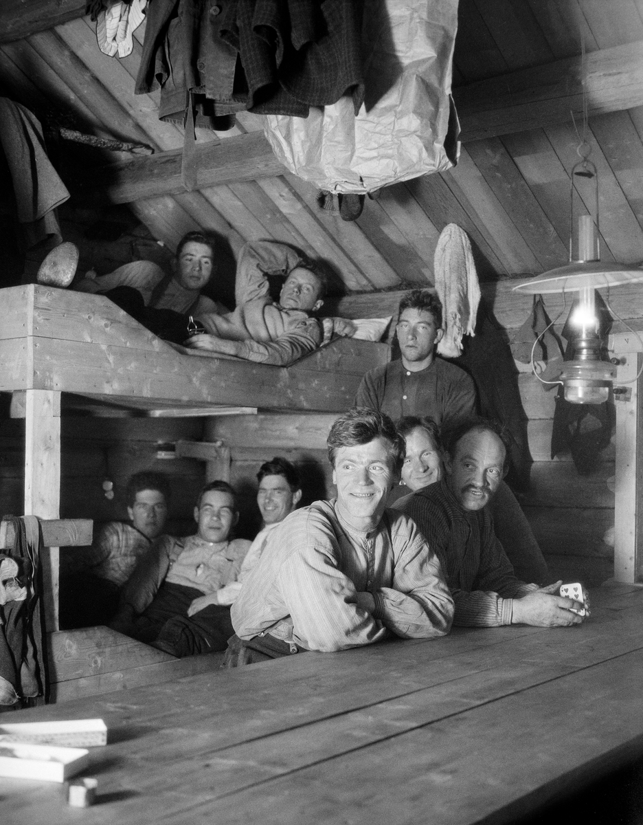 Koieinteriør, antakelig fotografert i Namdalen i Nord-Trøndelag i november 1927.  Det dreier seg om ei laftet tømmerstue med åstak, og med skårne, uhøvlete bord som undertak.  Da dette fotografiet ble tatt var ni skogsarbeidere samlet i et hjørne av koia, eller skogstua, som den gjerne ble kalt i Namdalen.  Tre av dem satt ved et bord i forgrunnen, hvor en hadde en kortstokk i hendene.  En fjerdemann sto bak de tre.  I køyesenga i bakgrunnen ser vi tre menn i underkøya og to i overkøya.  Det er grunn til å anta at fotografen her har samlet hele gruppa i et hjørne, og at det vanligvis bare var to menn i hver seng, og at karene ellers brukte å sitte ved begge sider av bordet.  Over bordet hang det ei parafinlampe, noe som var nødvendig i skogshusvære der de gammeldagse, åpne ildstedene var erstattet av jernovner.  Typisk var nok også situasjonen klærne som hang oppunder taket, på veggene og på sengene til tørk.  Ellers virker dette som ei forholdsvis rein og velstelt skogstue, noe som er bakgrunnen for hypotesen om at fotografiet er fra Trøndelag, der det særlig i selskapseide skoger var blitt ganske vanlig at skogsarbeiderne hadde medleid kokke på driftsstedene.  

Fotografiet er tatt i forbindelse med undersøkelser forstkandidat Johan Sønnik Andersen gjorde i Hedmark, Oppland og Nord-Trøndelag i andre halvdel av 1920-åra.  Observasjonene og refleksjonene hans ble utgitt under tittelen «Undersøkelse av skogshytter og skogsarbeidernes levevilkår» i 1932.  Norsk Skogmuseum har overtatt en del av de fotografiske negativene fra Sønnik Andersens undersøkelser i Hedmark, Oppland og Nord-Trøndelag.  Noen få av disse er brukt som illustrasjoner i det nevnte heftet.  De er imidlertid – antakelig for å sikre involverte skogeiere og skogsarbeidere en viss anonymitet – svært knapt tekstet fra opphavsmannens side.  Dette har naturligvis også fått konsekvenser for hvordan Norsk Skogmuseum kan registrere motivene i sin fotodatabase.
*
Koieinteriør med to skogsarbeidere, antakelig fotografert i andre halvdel av 1920-åra.  Bærekonstruksjonene i koia var lagd av barkete rundstokker, som var kledd med bord.  Utenpå bordveggene er det grunn til å anta at det var pålagt fuktsperre i form av neverflak eller tjærepapp, som igjen var belagt med isolerende torv og jord.  Slike koietyper hadde en viss utbredelse, særlig nordafjells.  Interiøret var enkelt.  Karene satt på en brisk inntil den ene veggen med ei bordplate som var forankret i tilstøtende vegg og støttet nedenfra av bein som var lagd av tynne granstokker.  På bordet sto et par kaffekopper vendt opp-ned og vi skimter også et par sveipte øskjer.  Over bordet hang ei parafinlampe.  Øverst på veggen bak sittebrisken var det ei hylle med en del blikkbokser, som antakelig inneholdt kaffe, sukker og andre varer karene brukte når de stelte seg mat.  Helt til høyre, oppå brisken, ser vi ei trekasse, antakelig ei matkasse, med en djuptallerken oppå.  Karene var forholdsvis godt kledde tatt i betraktning av at de satt innendørs.  Temperaturen i koiene varierte, og særlig på morgenen og når karene kom inn igjen etter en lang arbeidsdag, kunne det være kaldt.
Fotografiet er tatt i forbindelse med undersøkelser forstkandidat Johan Sønnik Andersen gjorde i Hedmark, Oppland og Nord-Trøndelag i andre halvdel av 1920-åra.  Observasjonene og refleksjonene hans ble utgitt under tittelen «Undersøkelse av skogshytter og skogsarbeidernes levevilkår» i 1932.  Norsk Skogmuseum har overtatt en del av de fotografiske negativene fra Sønnik Andersens undersøkelser i Hedmark, Oppland og Nord-Trøndelag.  Noen få av disse er brukt som illustrasjoner i det nevnte heftet.  De er imidlertid – antakelig for å sikre involverte skogeiere og skogsarbeidere en viss anonymitet – svært knapt tekstet fra opphavsmannens side.  Dette har naturligvis også fått konsekvenser for hvordan Norsk Skogmuseum kan registrere motivene i sin fotodatabase.
*
Koieinteriør, antakelig fotografert i andre halvdel av 1920-åra.  Bygningen var laftet av barket rundtømmer.  Tømmeret var meddratt, og antakelig isolert med husmose.  Koia hadde åstak med undertak av bord.  Den hadde også bordgolv.  Sengene var snekret av høvlete planker, og oppstilt med hodegjerdene mot langveggen.  Hver seng var delt i to avdelinger med en midtplanke.  Det ser ut til at karene som bodde her brukte høy eller halm som underlag mot de harde sengebotnene og striesekker som laken.  Over sengene, på den øvre delen av langveggen, var det montert ei hylle der skogsarbeiderne kunne oppbevare småsaker de hadde med seg, og som ikke burde ligge på golvet.  Det kunne være poser med sukker, mjøl og andre tilsatser til maten.  På den nevnte langveggen hang det dessuten en ryggsekk.  Bildet viser også hvordan skogsarbeiderne tørket arbeidsklær – busserruller, hatter, luer, sokker og votter – ved å henge dem på spiker på takåsene og på rajer over koieovnen.  Ovnen var i dette tilfellet en stor Aadals Brug-modell med fire ringåpninger for kokekar, og med røyavløp gjennom et rustent blikkrør som ledet fra ovnen opp mot mønet.

Fotografiet er tatt i forbindelse med undersøkelser forstkandidat Johan Sønnik Andersen gjorde i Hedmark, Oppland og Nord-Trøndelag i andre halvdel av 1920-åra.  Observasjonene og refleksjonene hans ble utgitt under tittelen «Undersøkelse av skogshytter og skogsarbeidernes levevilkår» i 1932.  Norsk Skogmuseum har overtatt en del av de fotografiske negativene fra Sønnik Andersens undersøkelser i Hedmark, Oppland og Nord-Trøndelag.  Noen få av disse er brukt som illustrasjoner i det nevnte heftet.  De er imidlertid – antakelig for å sikre involverte skogeiere og skogsarbeidere en viss anonymitet – svært knapt tekstet fra opphavsmannens side.  Dette har naturligvis også fått konsekvenser for hvordan Norsk Skogmuseum kan registrere motivene i sin fotodatabase.