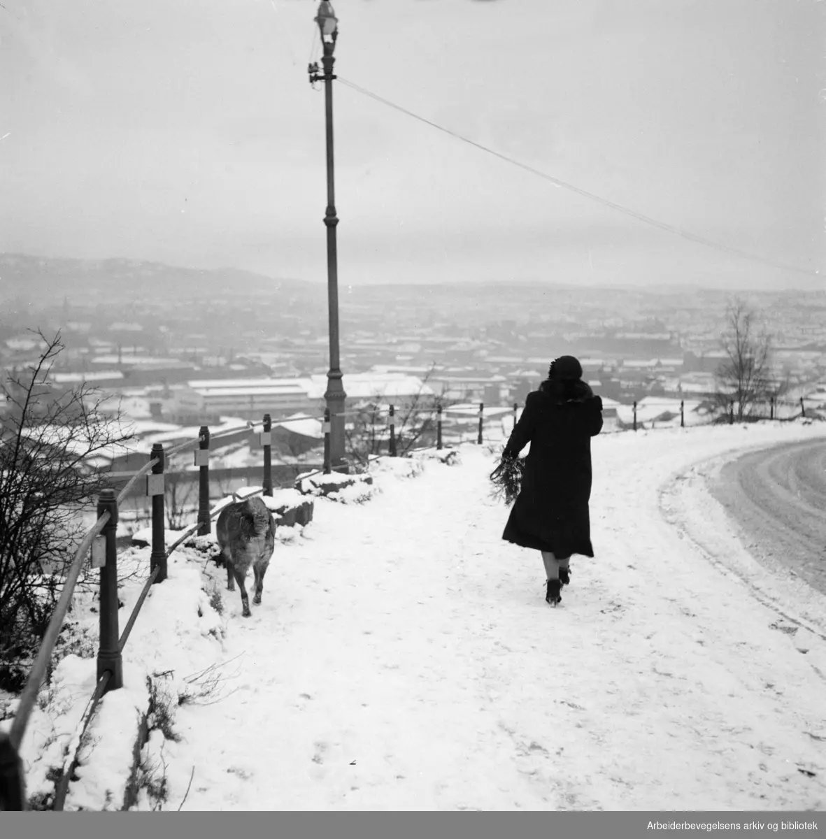 Ekeberg. Utsikt fra Ekeberg. Januar 1952