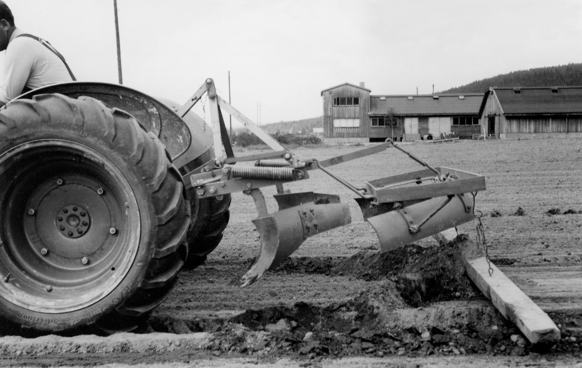 «Sengeopplegger» bak traktor ved skogplanteskolen på Sønsterud i Åsnes, Hedmark, i 1950.  Sengeoppleggeren var en form for slådd, som skulle trekkes av en traktor, og dermed overflødiggjøre det slitet det innebar å lage plantesengene med spader og river.  Redskapet er bygd på to stålrammer.  Under rammene er det fire stålskjær, montert i en slags V-formet orden.  Ytterendene av begge de to ytterskjærene stikker noe djupere enn den indre delen av disse skjærene og de to midtskjærene.  Poenget var antakelig å hente jord opp fra det som skulle bli gangarealer mellom så- og plantesengene opp i sengene, for deretter å fordele det jevnt utover sengenes overflater.  Bildet viser hvordan redskapet så ut fra sida.  Trekkrafta foran sengeoppleggeren var en Ferguson-traktor ("Gråtass") med forlengete hjulakslinger, slik at traktoren kunne kjøre over så- og plantesengene med hjulene i det som skal være gangarealer mellom produksjonsfeltene.  Bak redskapet er det hengt en trebjelke, vinkelrett på kjøreretningen.  Denne bjelken skulle antakelig jevne overflata på såsengene ytterligere.  Slik sengeoppleggeren var konstrukert ville det antakelig lett danne seg en jordrygg midt på plantesengene, der de to bakre skjærene møttes.  Da fotografiet ble tatt hadde traktorføreren, som vi ser ryggen på, løftet det hydrauliske trepunktsfestet bak på traktoren, slik at bare den etterhengte bjelken ligger på bakken.  I bakgrunnen ser vi et par av planteskolebygningene på Sønsterud. 

Fotografiet er hentet fra et kartotek som ble samlet av Waldemar Opsahl, som var statskonsulent for skogkultursektoren fra 1936 til sin død i 1954.  Arkivet ble overlatt til Norsk Skogbruksmuseum i Tore Fossums bestyrertid.  Opsahl har antakelig tatt de fleste av bildene i arkivet.  Materialet består av pappkort med opplimte kopier av svart-hvitt-fotografier.  Kortet med dette fotografiet på er merket «A. K. 53».  Under bildet er det påklistret en liten kvit papirstrimmel med påskriften:

«Redskap til opptagning av såsengene. Sönsterud planteskole, fot. Landbr. tekn. inst. 1950.» Her er det ikke samsvar mellom det som står på lappen og det fotografiet viser.