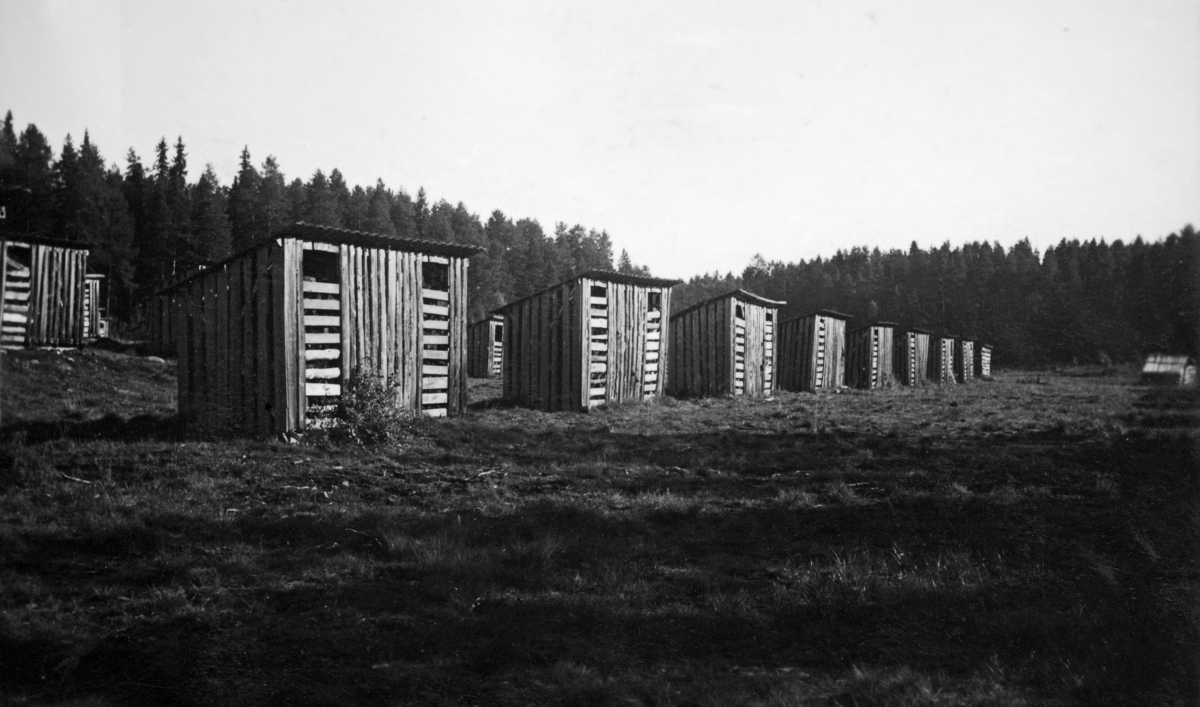 Brenntorvhus på Sandbekkmyra i Rokosjø-traktene i Løiten almenning.  Vi ser ei rekke av små skur i bordkledd bindingsverk.  Skurene har pulttak og på langsidene har hvert av dem to døråpninger, som da dette fotografiet ble tatt var stengt med luftige bordgrinder. 

Myrtorv ble brukt både som brensel og som strø i fjøsene på Hedmarken fra slutten av 1800-tallet og framover.  Som brensel var torva spesielt viktig under 2. verdenskrig, da importen av steinkol og koks opphørte.  Bruken av torv som brensel har lange tradisjoner i skogfattige kyststrøk her til lands, men ikke på det forholdsvis skogrike Østlandet.  De første forsøkene med uttak av torv i Løten skal ha skjedd omkring 1880.  Det ble brukt tyskprodusert utstyr – lokomobil og torvpresse – som ble innkjøpt fra en maskinforretning i Kristiania.  Seinere startet bygdas egen mekaniske industri – Aadals Brug – produksjon av eltemaskiner og torvpresser, som også ble brukt i Løiten almenning.  Torva ble tørket i friluft og deretter lagt i lagerhus.  Herfra kunne de hentes med hester og sleder vinterstid av den typen vi ser på bildet.  Herfra kunne de hentes med hester og sleder vinterstid.  Den tørkete torva var forholdsvis lett i forhold til volumet, så det ble brukt bredsleder som fikk forholdsvis store lass.  På Sandbekkmyra i Rokosjøtraktene skal det ha vært torvdrift fra 1929 til 1946.  Det ble i gjennomsnitt tatt ut om lag 1 000 kubikkmeter torv i året fra denne myra. 