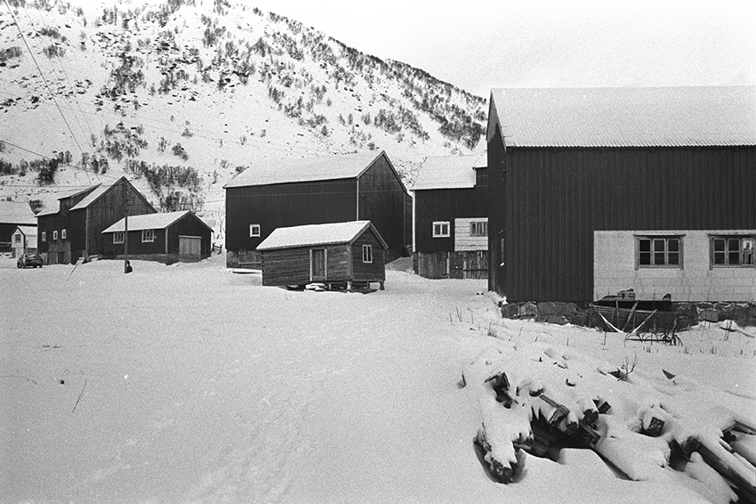 Bebyggelse på Dale på Grytøya.