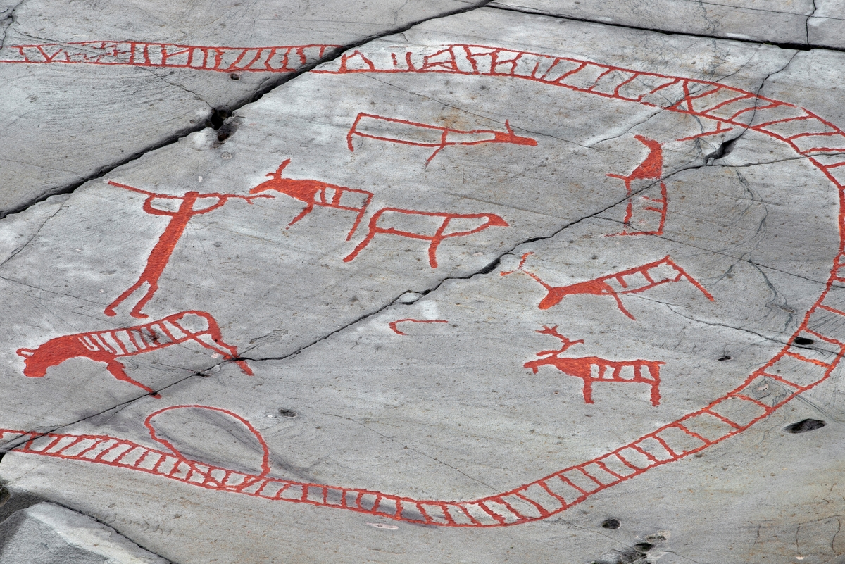 Figurer fra helleristningsfeltet ved Jiebmaluokta eller Hjemmeluft i Alta kommune i Finnmark.  Her dreier det seg om sju dyrefigurer hvorav tre tydelig er reinsdyr, mens de øvrige fire har mindre tydelig artspreg, sjøl om det er nærliggende å oppfatte dem som reinsdyr også.  I utkanten av dyreflokken ser vi en menneskeskikkelse med et redskap, ei stang med ei lita kløft i den ene enden, hevet over hodet.  Dyreflokken omsluttes av en U-formet rutet streng.  Den sistnevnte figuren tolkes vanligvis som et fangstgjerde, og noen har hevdet at dette må være den eldste framstillinga vi har av denne typen stengsler.  Samtlige figurer er tydeliggjorte med rødbrun maling på det ellers grå berget.  Fotografiet er et utsnitt fra ei flate hvor det til sammen er cirka 180 figurer.

Litt mer informasjon om helleristningsfeltet ved Jiebmaluokta eller Hjemmeluft finnes under fanen «Opplysninger».