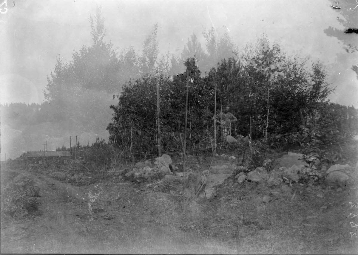Dubbelexponering - landskapsvy, Uppland 1925