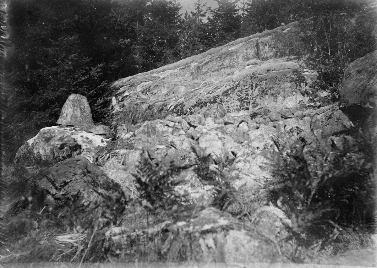 Bergssluttning med sten, Uppland 1925
