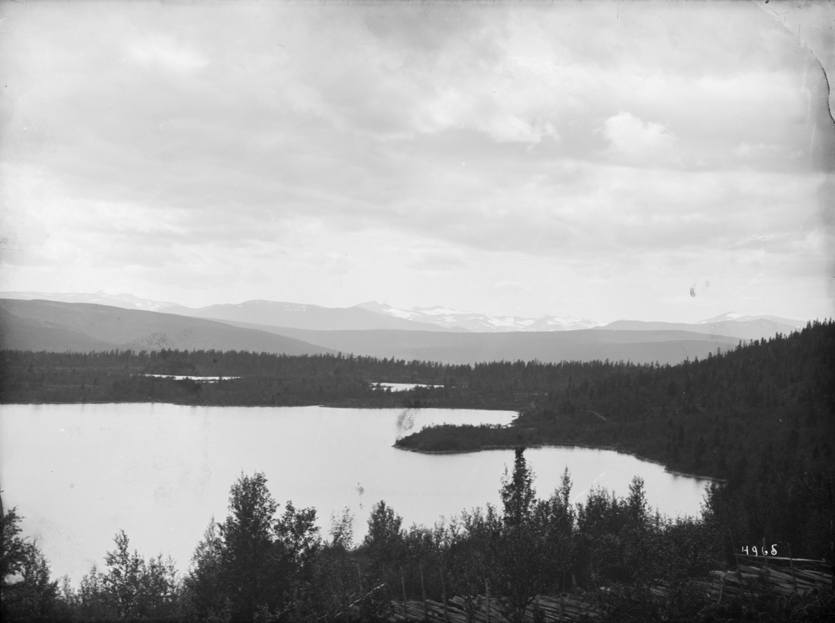 Kort Over Jotunheimen Kort.: N.Fron. 06.08.1899. Fefor. Udsigt over Jotunheimen. Skog  Kort Over Jotunheimen