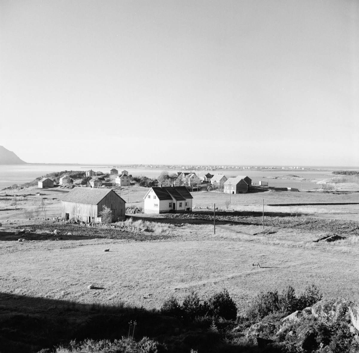 Prospektfotografi og oversiktsbilder av "Jakob-garen" på Skjong, Valderøy med flere gårdsbruk i bakgrunnen. Øya Giske viser i bakgrunnen.
