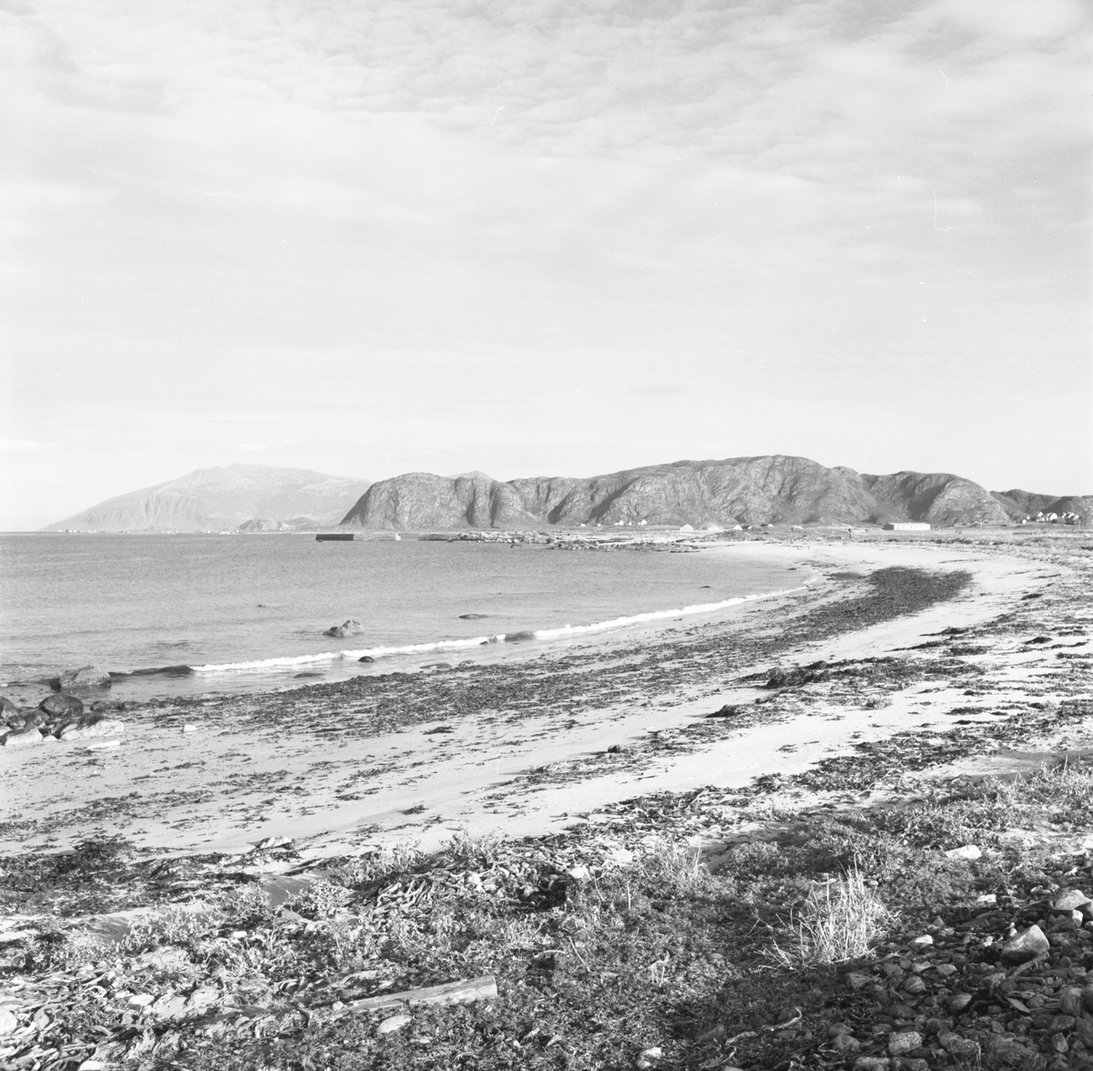 Landskapsbilder fra strandområdet ved Giskeøygarden.