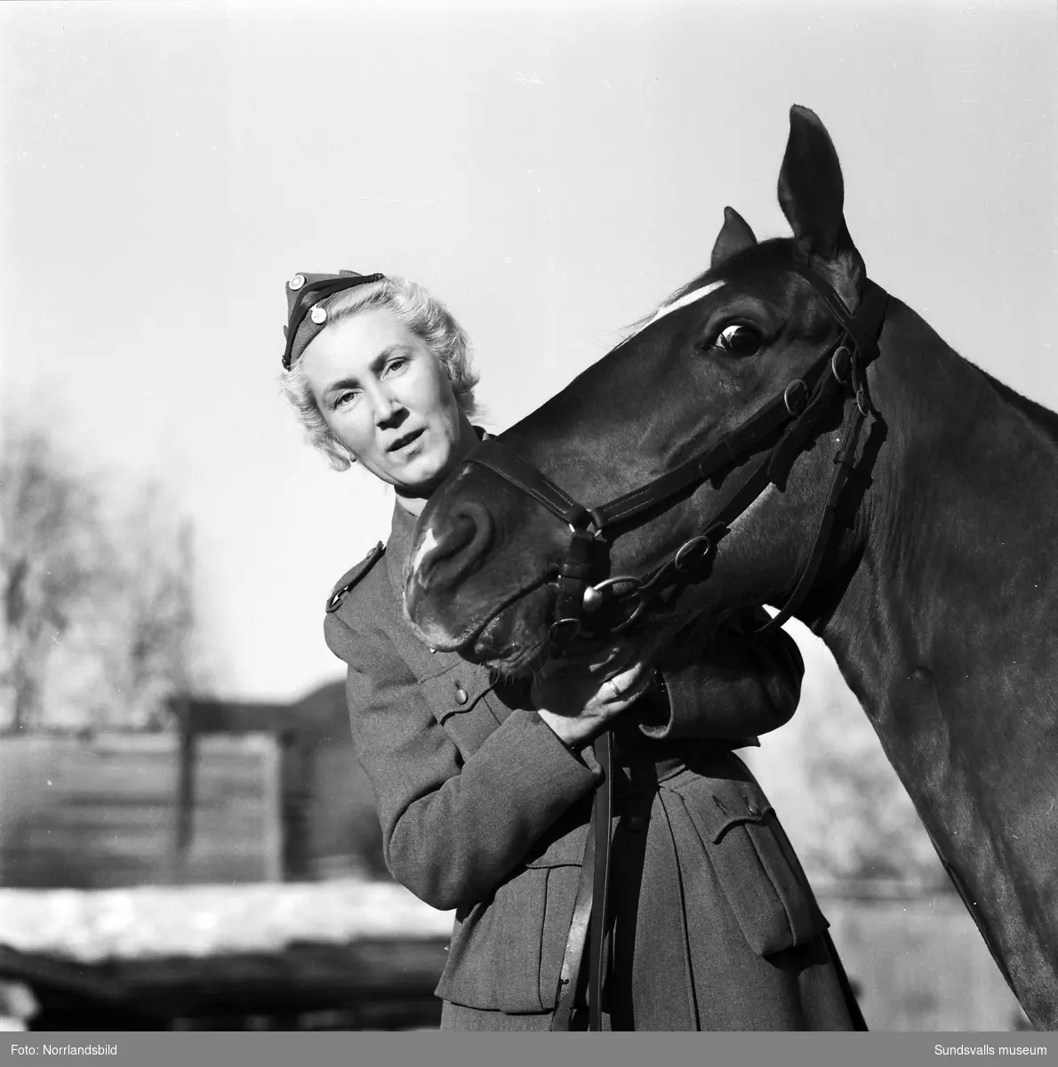 Affischbild för Blå Stjärnan. En ung kvinna i uniform som håller i en häst, Titti och Kuse.