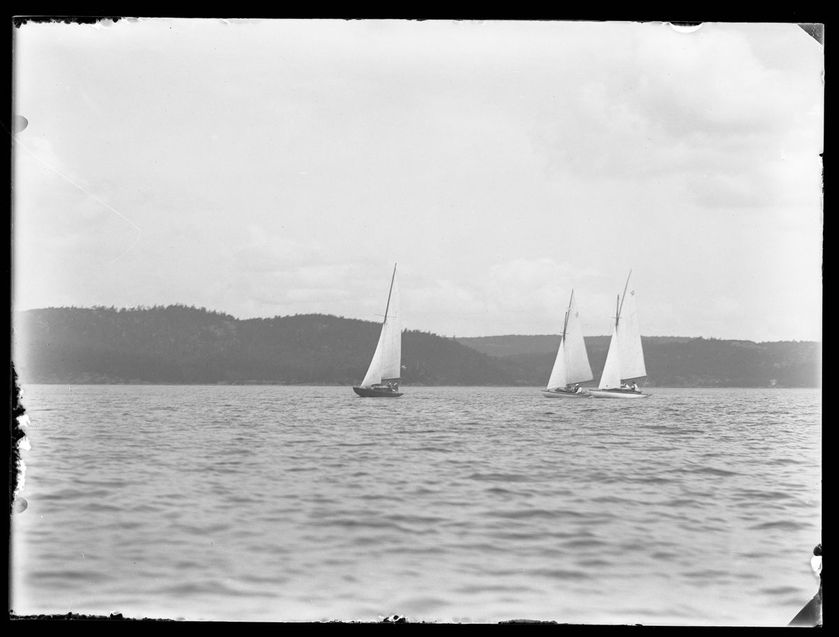 Tre segelbåtar fotograferade i samband med en kappsegling.