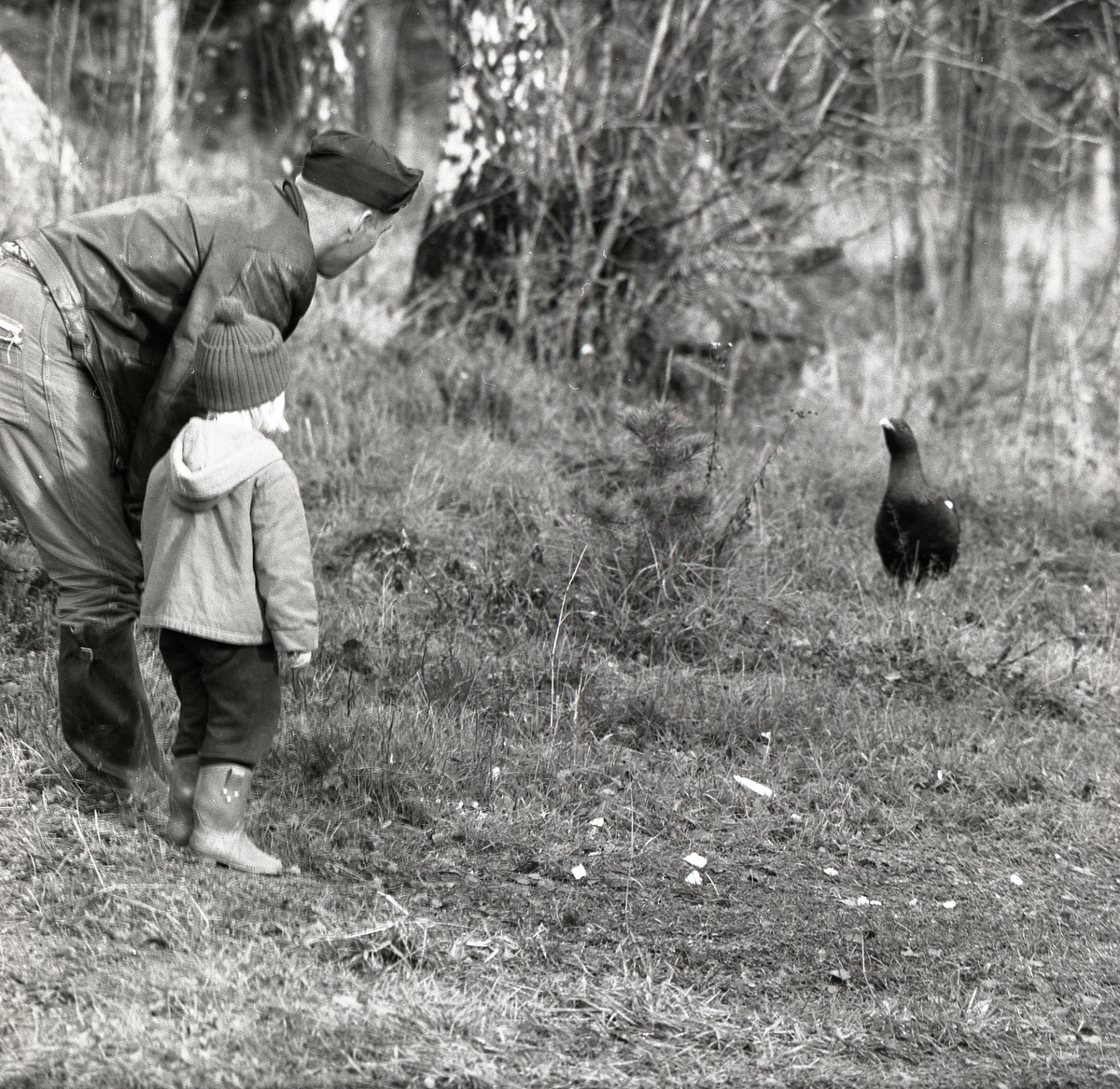 En farbror och ett barn står i skogen och tittar på en fågel 22 oktober 1957.