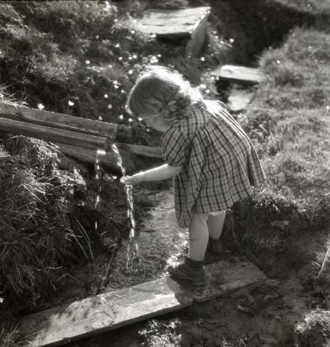 En flicka står på en bräda vid en bäck. Genom två hopspikade plankor leds vatten ner till bäcken vilket flickan fångar med ena handen, 1950.