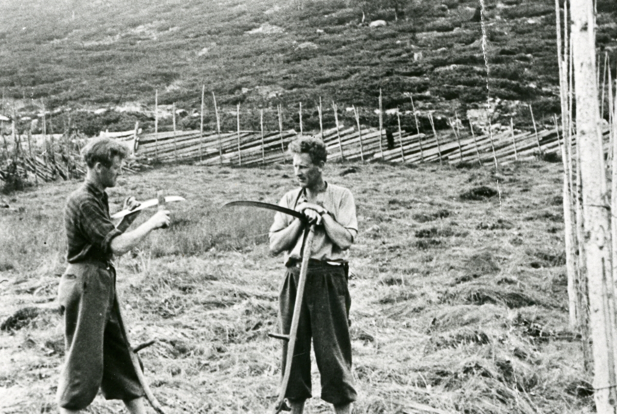 Slåttekarar på stølsjordet til Jørstad, nordre i Volbu i 1940 åra.