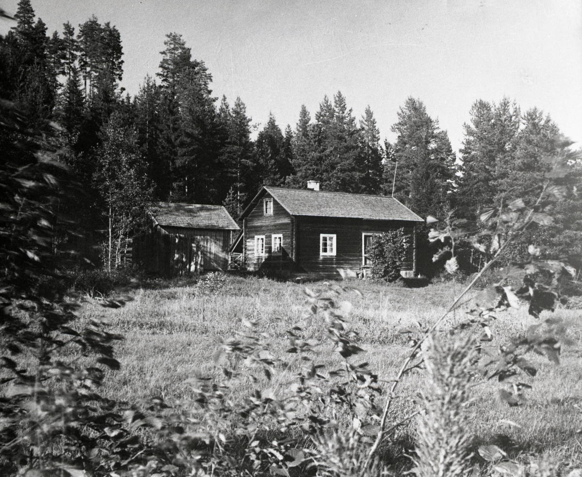 En gård i ett skogsbryn 1936.