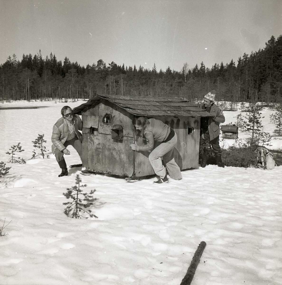 En kvinna och två män flyttar en skogskoja på skidor vid Degeln.