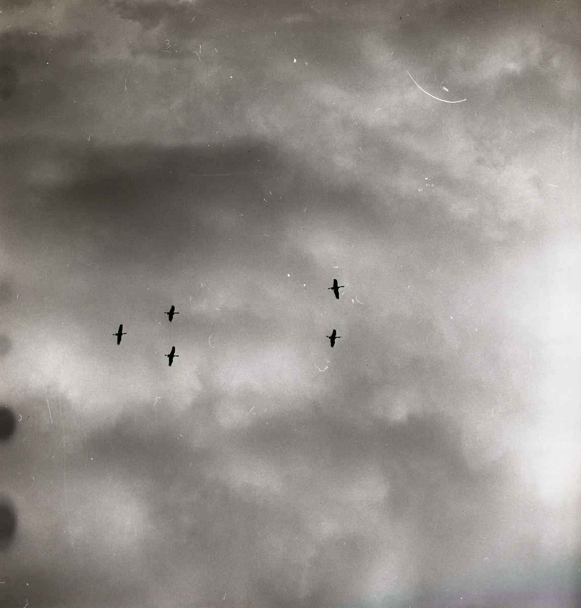 Fem tranor flyger bland molnen, 1966.