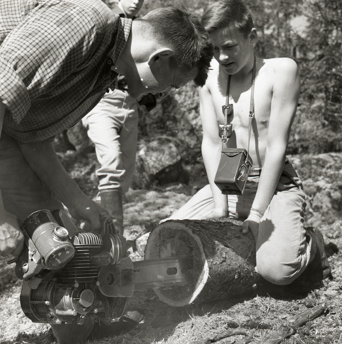 En man urholkar en trädstam med motorsåg medan en pojke sitter gränsle över stammen för att hålla fast den och har en kamera runt halsen, Hagberget den 10 maj 1959.