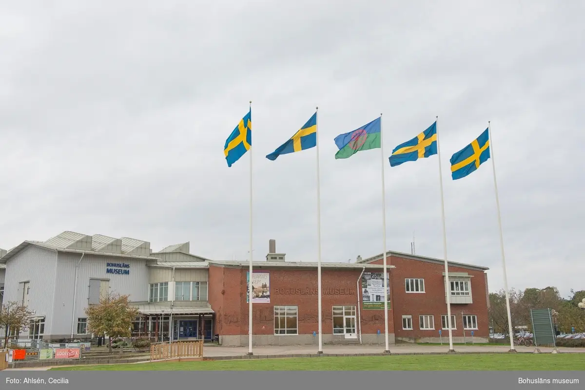 Flaggning med den romska flaggan och fyra svenska utanför Bohusläns museum vid resandefolkets högtidsdag 29 september 2017.