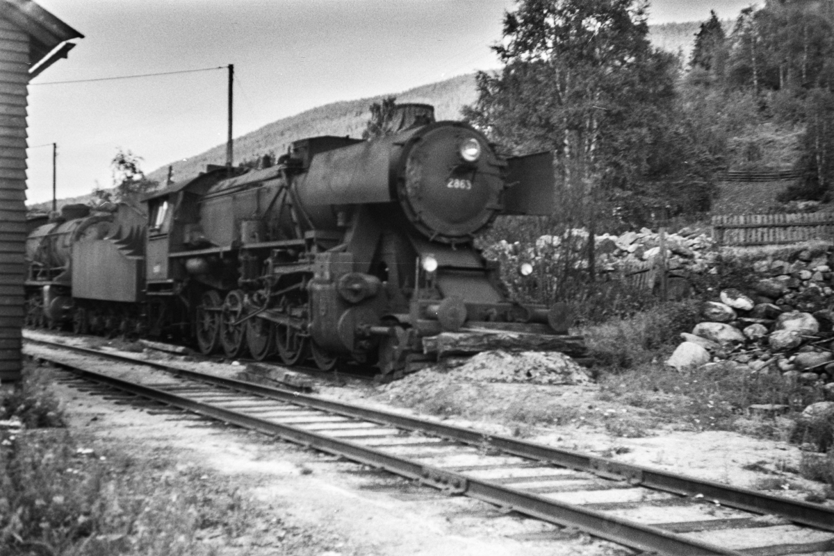 Hensatt damplokomotiv type 63a nr. 2863 på Ål stasjon.