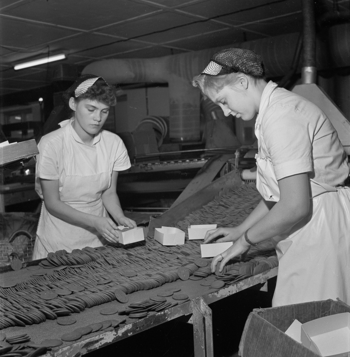 Personal packar pepparkakor vid Pricks, fabriken, Tierp, Tolfta socken, Uppland 1953