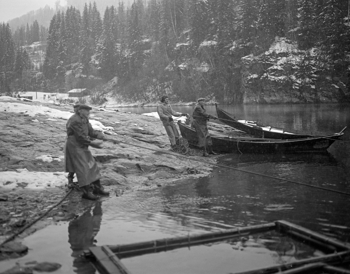 Lågåsildfiske ved Lortvarpet i Fåberg i Oppland høsten 1976.  Fotografiet viser fire fiskere som samarbeidet om å dra ei lågåsildnot mot land.  I bakgrunnen ser vi to åfløyer, en flatbotnet båttype som var markant kuvet i lengderetningen og ble mye brukt i den nedre delen av Gudbrandsdalslågen.  Nota var et bundet innstengingsredskap som her ble rodd ut i ei bue fra en av de nevnte båtene.  Den hadde kraftig tauverk øverst og nederst, henholdsvis «flætennol» og «søkketennol», som var utstyrt med henholdsvis flyteelementer og søkker.  Dermed ble det finmaskete garnet – «bundingen» - stående som en vegg i vannmassene.  Når de fire fiskerne begynte å dra nota mot land igjen ved hjelp av to endetau, var lågåsilda som hadde befunnet seg innenfor kastesona innestengt, og kunne tvinges varsomt inn mot land, der den ble samlet i en sentral del av bundingen og overført til de rektangulære, flytende nettingrammer av den typen vi ser i forgrunnen på dette bildet.  Der fikk silda gå levende inntil det passet fiskerne å ta den på land for ganing.  Til tross for det stille vannspeilet ved Lortvarpet, skal det har vært såpass strøm i elva her at notkastene måtte gjøres forholdsvis raskt.