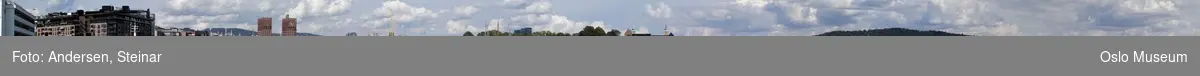 Panorama, utsikt, cruiseskip, havn, fjord, turistbåter, Rådhuset, Akershus Festning, Vippetangen, Sørenga, Ekebergåsen,