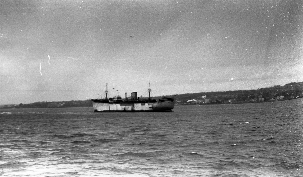 Dansk dampskip. Innseilingen til Halifax havn. Suderøy på vei til fangstfeltet.