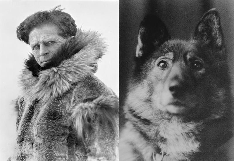 Leonhard Seppala (1877–1967) og hans hund Togo (1916–1929).