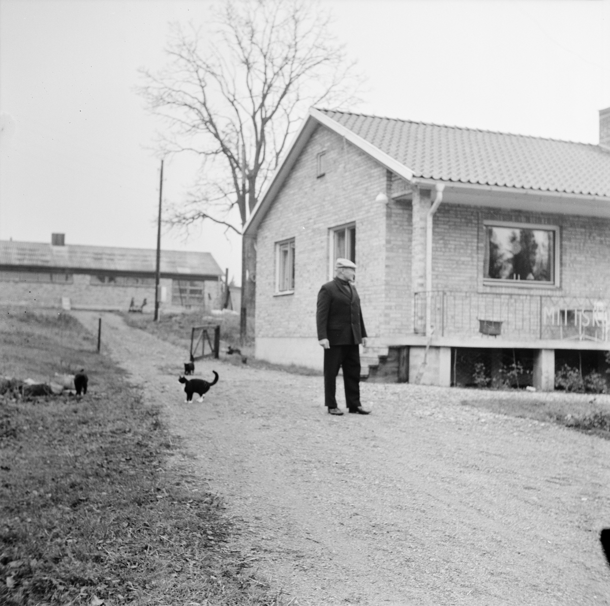 Bonde Erhard Lövström belönad, Mittskog, Ubblixbo, Tierps socken, Uppland, november 1971