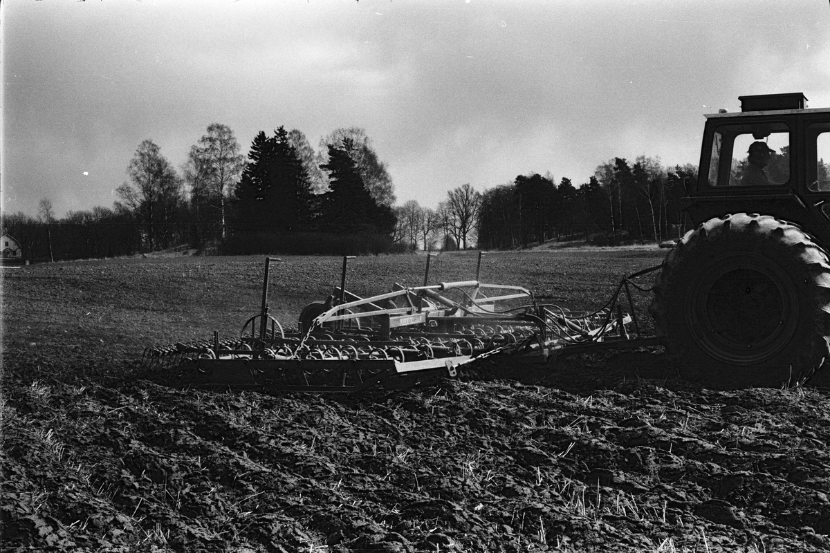 Vårbruk, traktorförare Folke Sundnäs harvar, Hacksta gård, Enköpings-Näs socken, Uppland april 1981