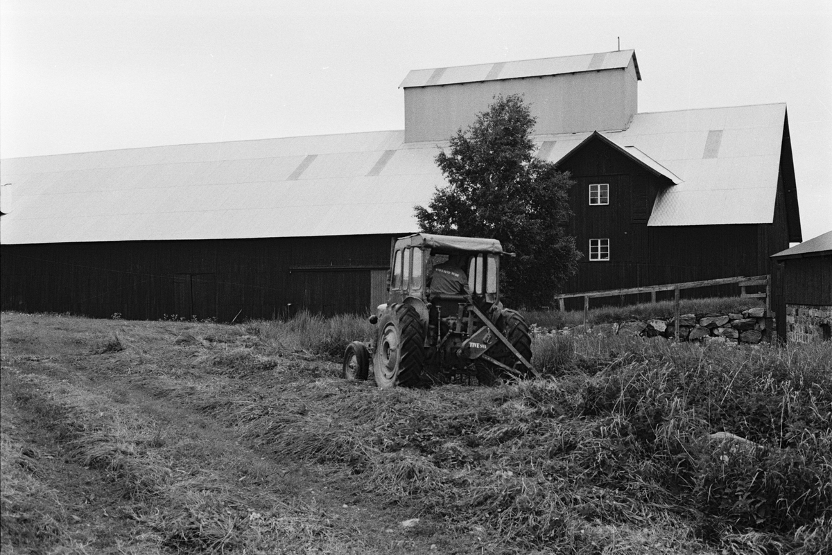 Traktorförare Stig Ahlin slår gräset med ett slåtteraggregat, Hacksta gård, Enköpings-Näs socken, Uppland juni 1981