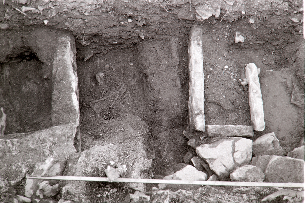 Domkirkeruinen, arkeologisk undersøkelse i nordre tverrskip i 1970. Tre graver i midtre og nordre del av utgravningsfeltet.