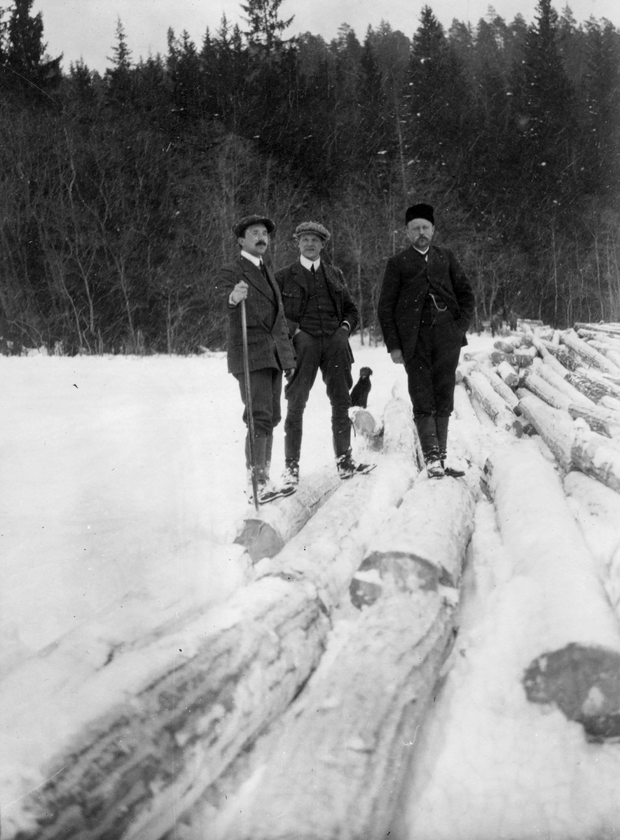 Tømmerfløting.Tømmer fra Huseby skogen i Stange 1909.
Fra venstre: A.J. Jacobsen,Henrik Ree og O.G. Ruud.