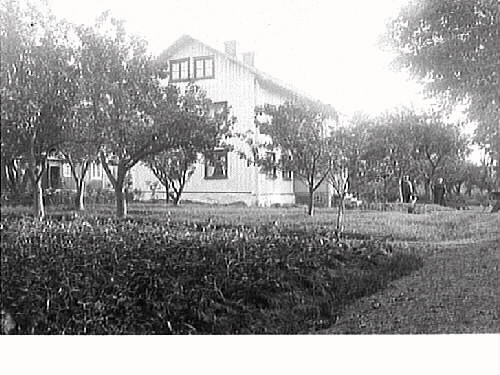 Tranebergs mangårdsbyggnad och trädgård med fruktträd och odling. Nedanför verandan står två män och en hund.