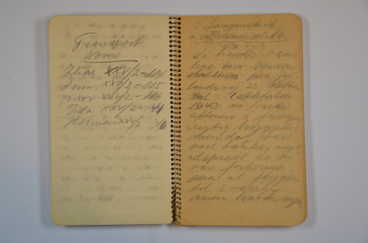 Dagbok fra fangenskapet i konsentrasjonsleiren Teresienstadt 1943 - 1945, forfattet av Elias Leimann. Boken beskriver flukten til Sverige, arrestasjon og påfølgende deportasjon, opphold i Theresienstadt og redning til Sverige i april 1945.
