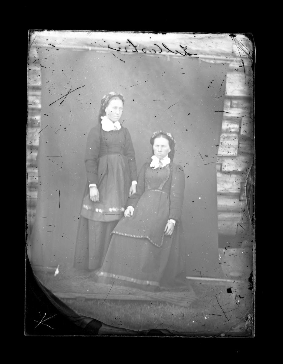 Fotosamling etter fotograf Knut Aslaksen Berdal. f. 1829 Einlaugdalen Vinje, d. 21.01.1895. Portrett av to kvinner i folkedrakt