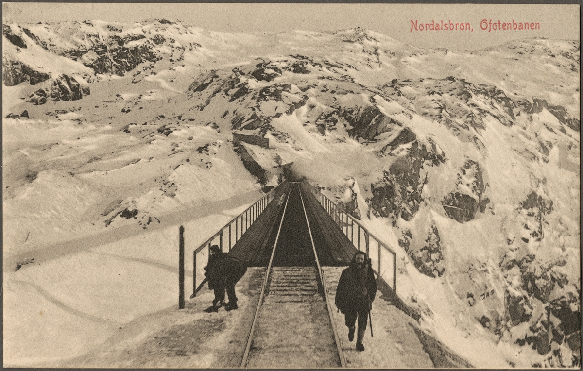 Vy över Norddalsbron, Ofotenbanan i Norge. På linjen mellan Riksgränsen och Narvik.