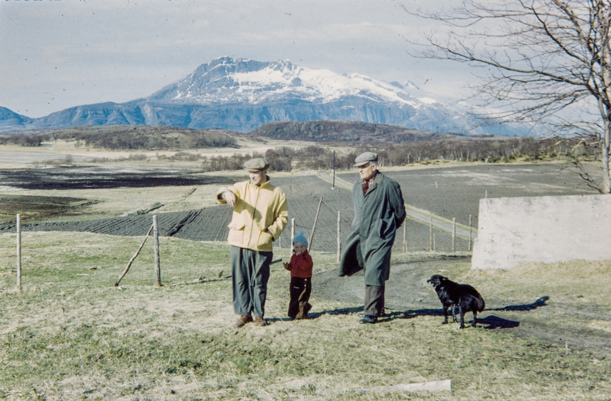 Liland - Forfang, Tjøtta 1954. Hund og barn.