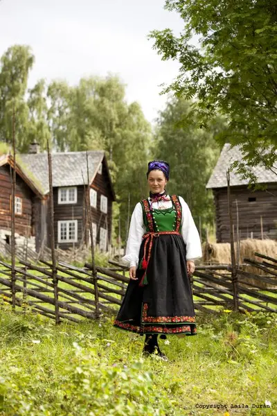 Bunadhistoria - Norsk Institutt For Bunad Og Folkedrakt