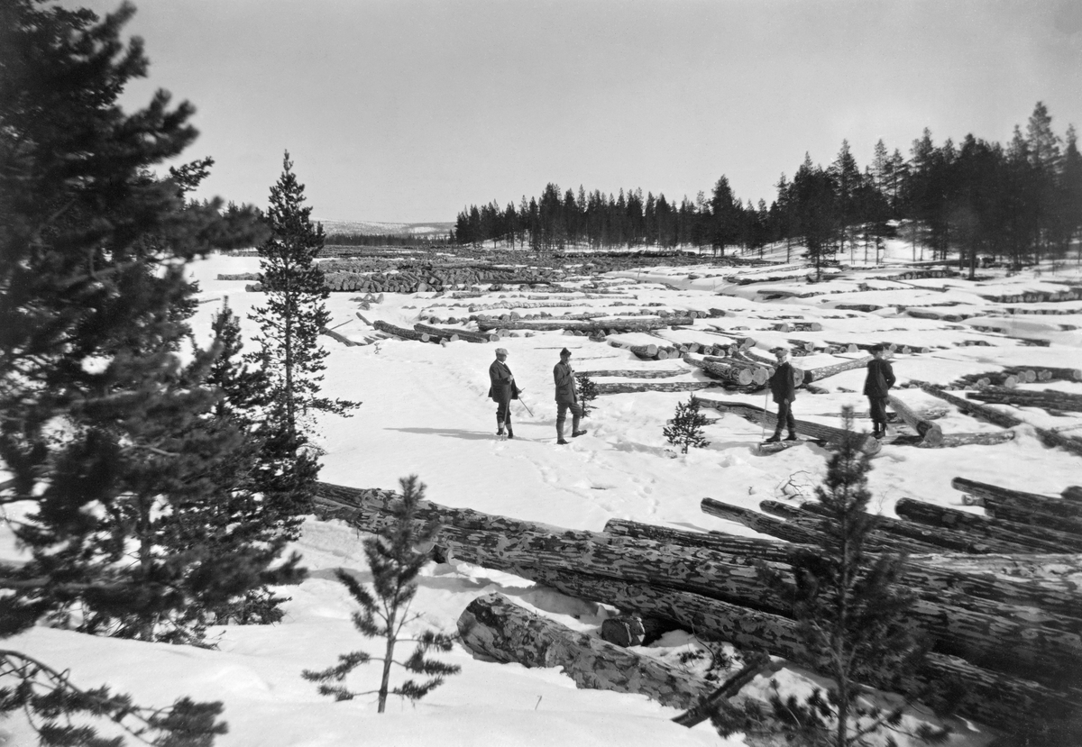 Tømmer på den islagte kanalen mellom Aursjøtjern og Grøna i Elvdalen i Engerdal.  Tømmeret er avvirket etter den såkalte «Granbergsæterblinken» i 1909.  Denne avvirkinga var et ledd i et hogst- og renskingsprogram som skogforvalter Hans G. Støre arbeidet med i Femund forvaltningsdistrikt.  Han fikk avvirket 1 200 trær - «Granbergblinken» i Elvdalen - i 1908, og fortsatte med «Granbergsæterblinken» i 1909.  Dette året fikk han hogd 1 574 trær i Granberget, over Mana og opp mot Veundåsen i Elvdalen. I dette området ble tømmeret solgt på rot til kjøpere, som organiserte hogsten og sørget for at det ble kjørt til den avbildete lokaliteten med sikte på fløting vestover mot Glommavassdraget (jfr. fanen «Opplysninger»).  Her la man imponerende mengder forholdsvis langt barket furutømmer i flakvelter på den snødekte isflata.  Fire velkledde herrer, antakelig skogfunksjonærer, sto forholdsvis langt framme i bildet.  Landskapet omkring vassdraget hadde hovedsakelig furuskog.