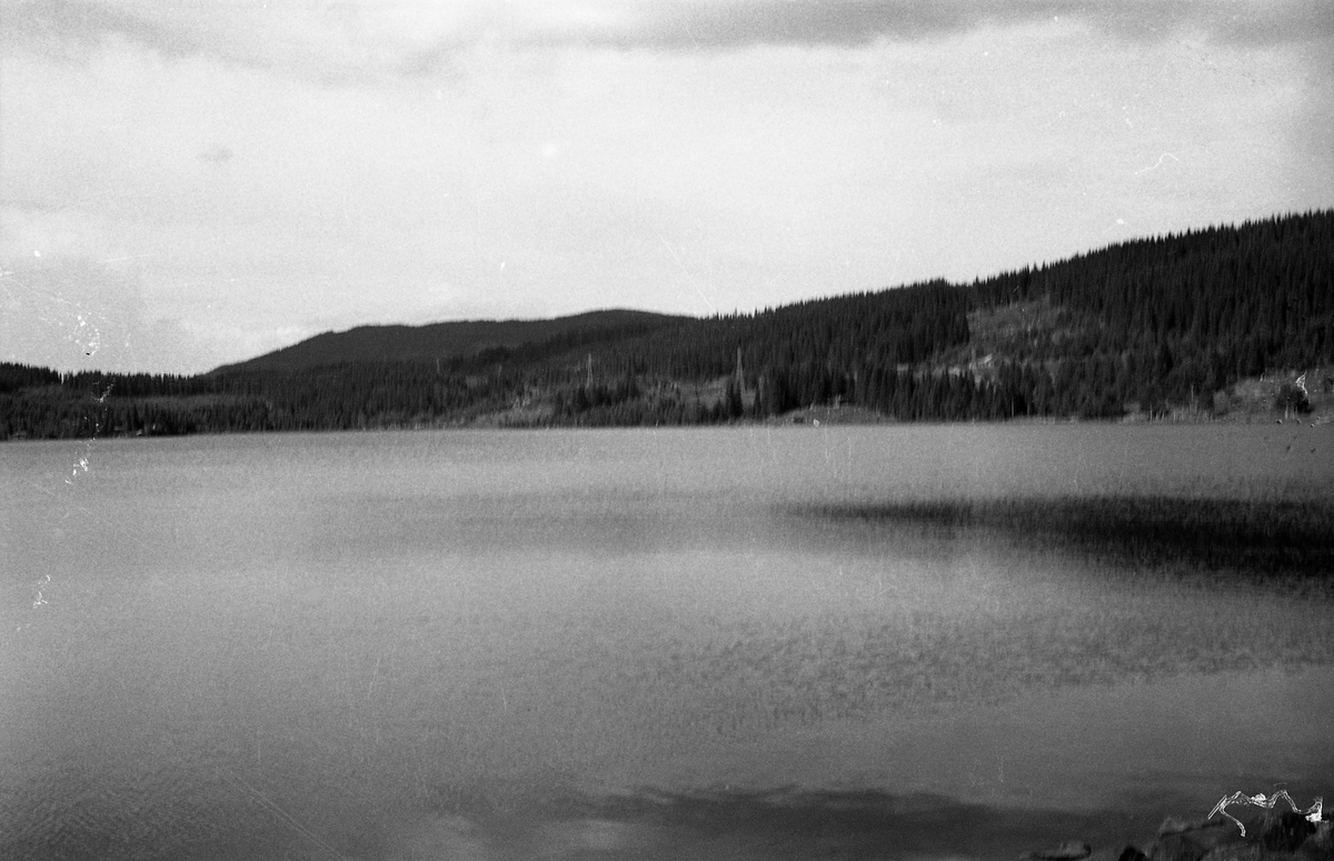 Avfotografert landskapsbilde. I forgrunnen et tjern eller innsjø, i bakgrunnen skogskledd ås. Kan muligens være fra Totenåsen.
