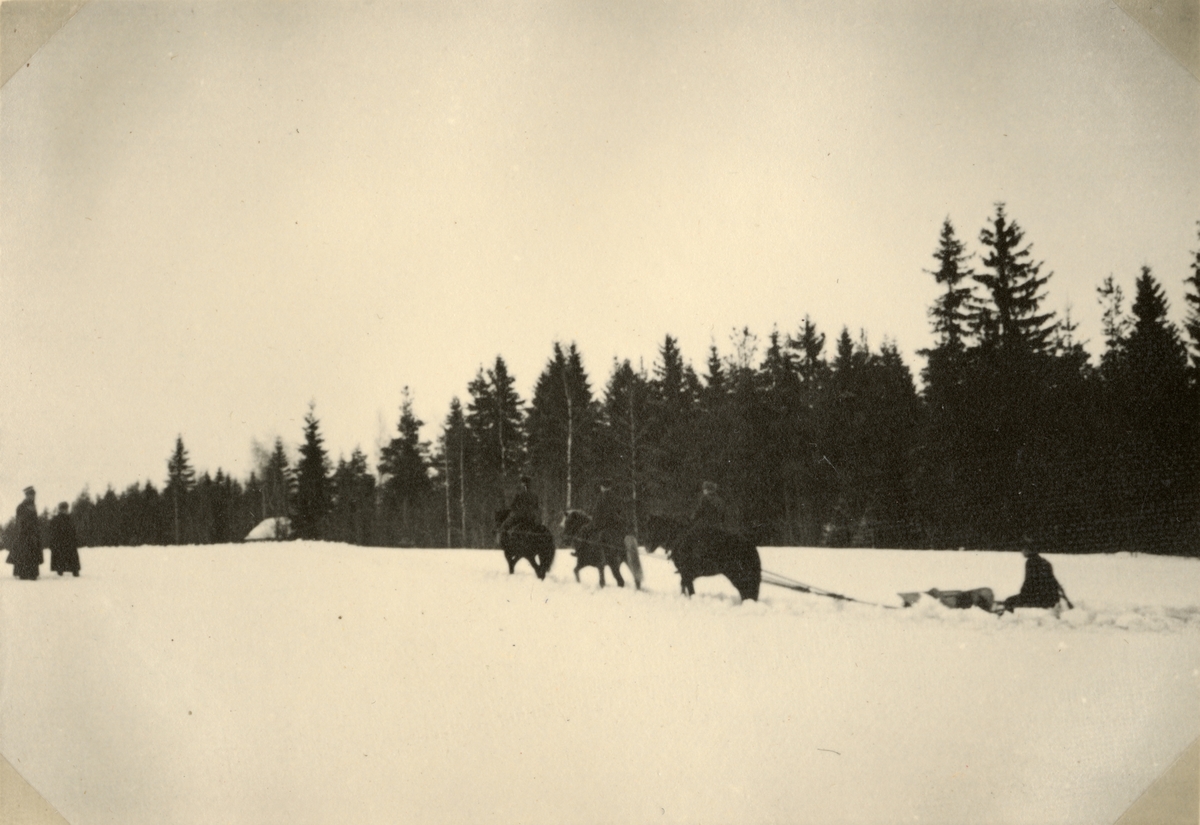 Text i fotoalbum: "Studieresa med general Alm till Finland 1.-12. mars 1939. Hästplogning."