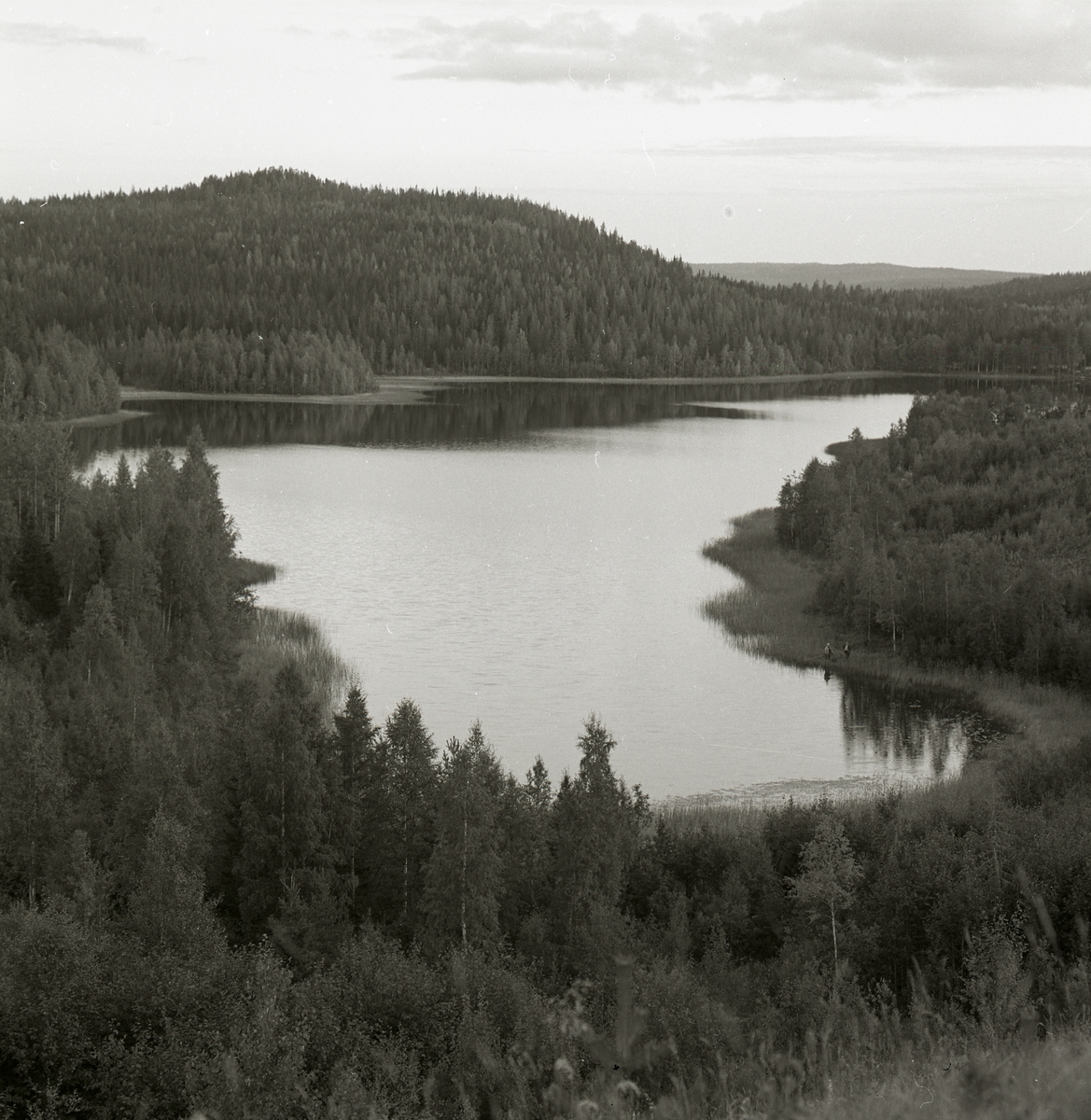 Utsikt över skog och sjö i Örnsköldsvik 1976.