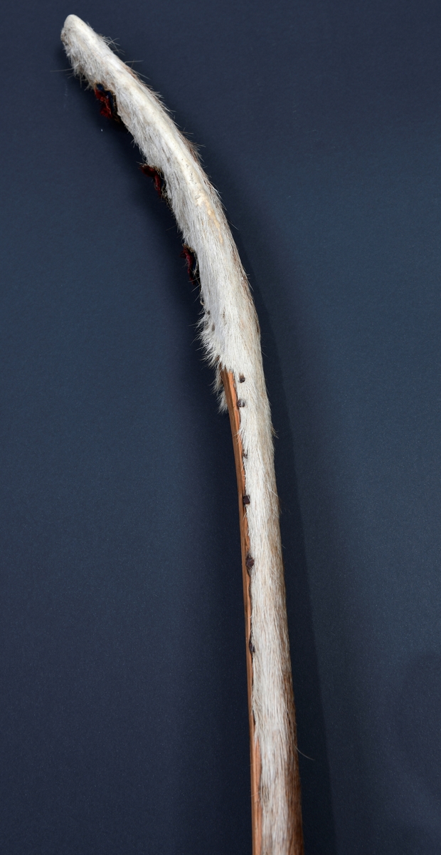 Ski, ett par, langski og annor. Langskien er av furu med spisst spydformet horn. Oversiden flat avfaset på forreste fjerdedel av forskien og 4 strekmåtstriper. Tverr bak. Tå- og bakbinding av lær.