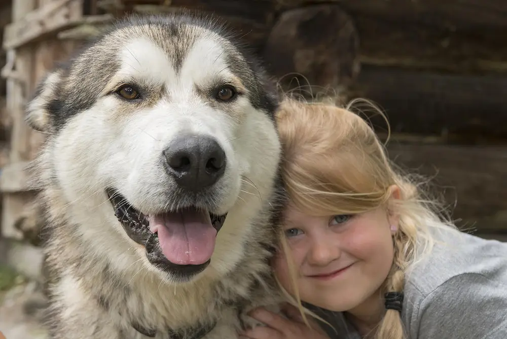 Bildet viser en jente og en hund som koser seg