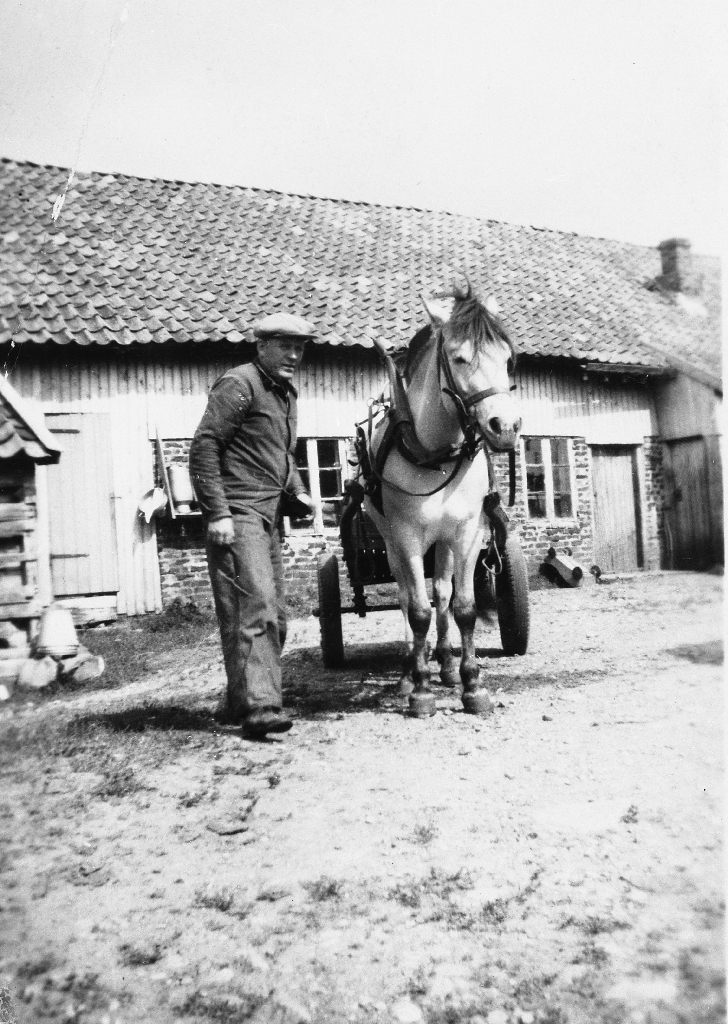 Frå gardsrommet på "Hauen" bnr. 10/20. Tidlegare eigar Jesper Tjensvoll (1897 - 1975) med hest og kjerre framfor fjoset.