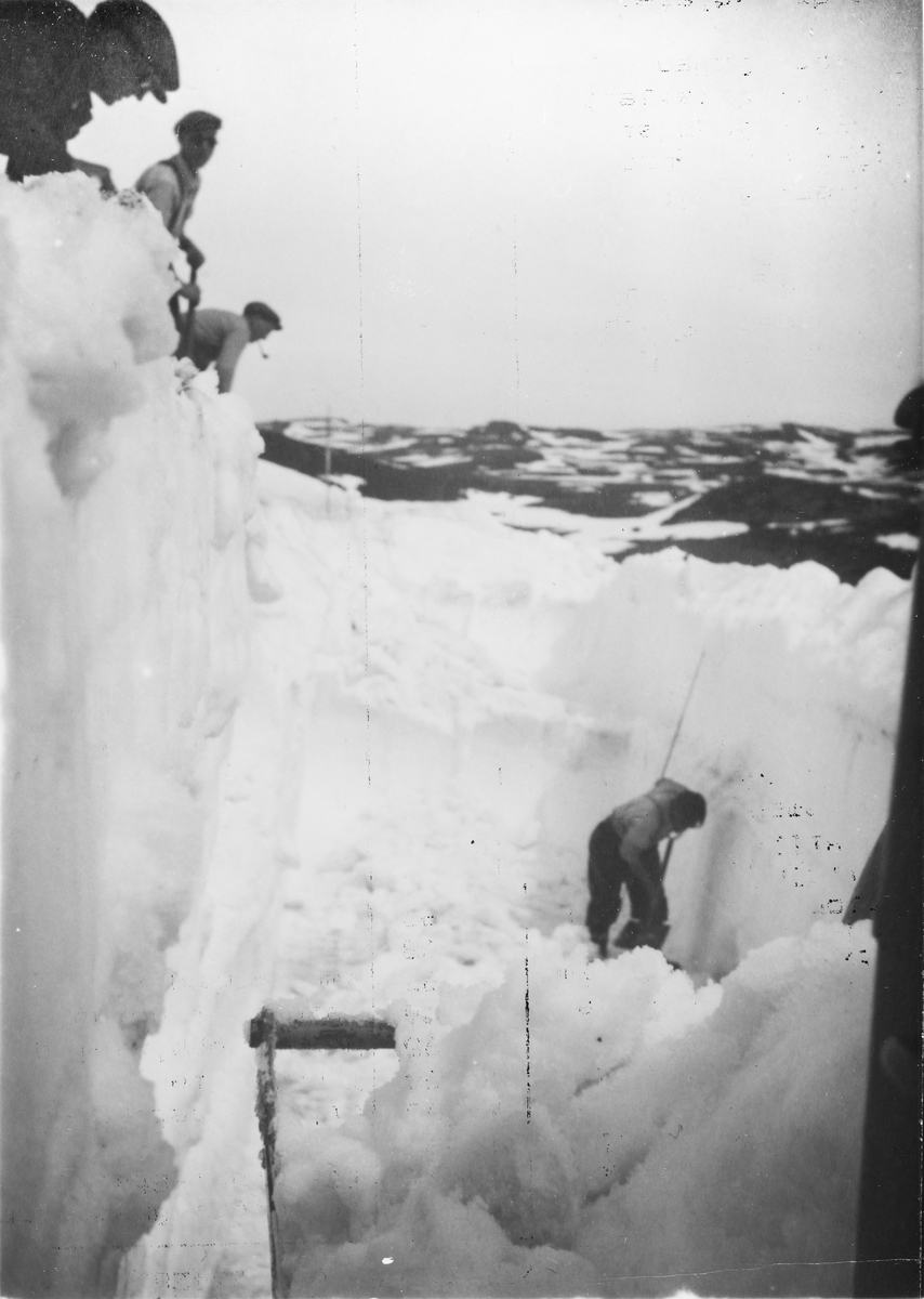 I 1928 ble det åpnet veg over Hardangervidda fra Eidfjord til Haugastøl. Strekningen Geilo-Haugastøl stod ferdig i 1938. Vegen over vidda var vinterstengt fram til 1940. Åpningen skjedde normalt ved St. Hans. De store fonnene ble siste hinder som måtte forseres om våren. Utover 1930-tallet ble snøen i mange tilfeller dratt ut med slepeskrape. Etter hvert ble vanligere å laste opp snøen for hånd og kjøre den ut med lastebil. Seinere kom fresen og kunne ta over mye av arbeidet.
Tre mann på brøytekanten og én mann nede. Toppen tas ned og snøen lastes i slepeskrape som vinsjes eller trekkes ut med traktor. Bildet er fra 1930-åra.